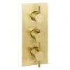 JTP Vos Brushed Brass Triple Outlet Thermostatic Concealed Shower Valve Vertical -Showers Shop 23690ABBR P