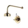 Aqualisa - Aquatique Thermo Concealed Thermostatic Valve with 5" Drencher Head & Arm - Gold - 500.00.04-550.04 -Showers Shop 500.00.04 550.04 P