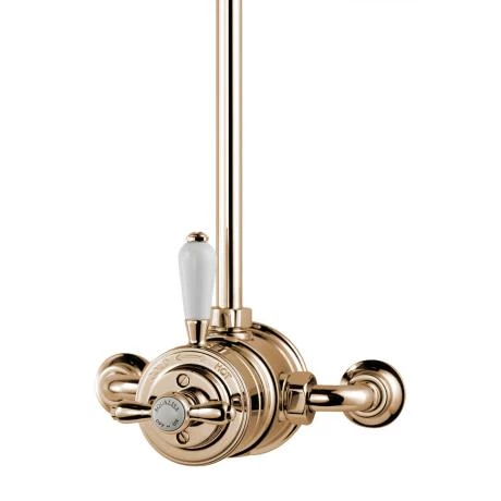 Aqualisa - Aquatique Thermo Exposed Thermostatic Valve with 8" Drencher Head & Riser Rail - Gold - 500.10.04-581.04 4 Aqualisa - Aquatique Thermo Exposed Thermostatic Valve with 8" Drencher Head & Riser Rail - Gold - 500.10.04-581.04 - Image 2