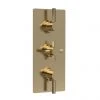 Hudson Reed Tec Pura Plus Triple Concealed Thermostatic Shower Valve - Brushed Brass - A8003 -Showers Shop A8003 m