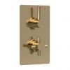 Hudson Reed Tec Pura Twin Concealed Thermostatic Shower Valve - Brushed Brass - A8003V