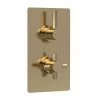 Hudson Reed Tec Pura Concealed Twin Shower Valve with Built-in Diverter - Brushed Brass - A8007 1 Hudson Reed Tec Pura Concealed Twin Shower Valve with Built-in Diverter - Brushed Brass - A8007 -Showers Shop A8007 m