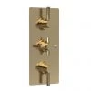 Hudson Reed Tec Pura Plus Concealed Thermostatic Triple Shower Valve with Diverter - Brushed Brass - A8023 1 Hudson Reed Tec Pura Plus Concealed Thermostatic Triple Shower Valve with Diverter - Brushed Brass - A8023 -Showers Shop A8023 m