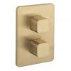 Crosswater - Atoll/Glide II/Marvel Crossbox 3 Outlet Trim & Levers - Brushed Brass -Showers Shop ATCB2500LBPF MM