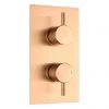 Arezzo Brushed Bronze Round Modern Twin Concealed Shower Valve 1 Arezzo Brushed Bronze Round Modern Twin Concealed Shower Valve -Showers Shop AVLVBRZ1 p