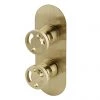Arezzo Brushed Brass Industrial Style Round Modern Twin Concealed Shower Valve -Showers Shop AZBBIV1 p