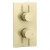 Arezzo Brushed Brass Round Modern Twin Concealed Shower Valve -Showers Shop AZBBSV n prod