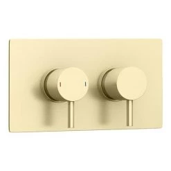 Arezzo Brushed Brass Round Modern Twin Concealed Shower Valve with Diverter 11 Arezzo Brushed Brass Round Modern Twin Concealed Shower Valve with Diverter -Showers Shop AZBBSVD n d1 460