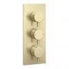 Arezzo Brushed Brass Round Modern Triple Concealed Shower Valve 1 Arezzo Brushed Brass Round Modern Triple Concealed Shower Valve -Showers Shop AZBBTSV new pa