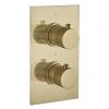 Arezzo Fluted Round Modern Twin Concealed Shower Valve - Brushed Brass 2 Arezzo Fluted Round Modern Twin Concealed Shower Valve - Brushed Brass -Showers Shop AZFRV1BB prod
