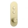 Arezzo Brushed Brass Industrial Style Push Button Shower Valve (2 Outlets) -Showers Shop AZPB02RBB np