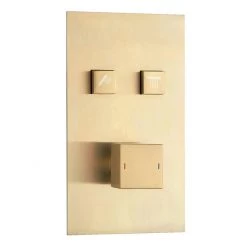 Arezzo Brushed Brass Twin Modern Square Push-Button Shower Valve with 2 Outlets