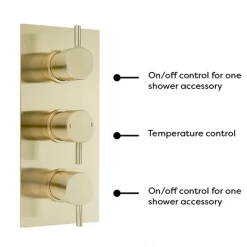 Arezzo Round Brushed Brass 2 Outlet Shower System (Fixed Shower Head + Overflow Bath Filler) 10 Arezzo Round Brushed Brass 2 Outlet Shower System (Fixed Shower Head + Overflow Bath Filler) -Showers Shop AZR2SSB detail1 460