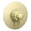 Arezzo Brushed Brass Round Concealed Dual Thermostatic Shower Valve 2 Arezzo Brushed Brass Round Concealed Dual Thermostatic Shower Valve -Showers Shop AZSV4BB n p