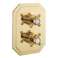 Crosswater Belgravia Unlacquered Brass Crossbox 2 Outlet Multi-flow Trim Set