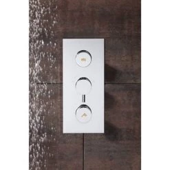 Crosswater - Dial Kai Lever 2 Control Shower Valve - Portrait -Showers Shop DIAL KAI 3 D1 460