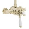 Heritage - Ryde Dual Control Exposed Mini Valve With Top Outlet - Vintage Gold 1 Heritage - Ryde Dual Control Exposed Mini Valve With Top Outlet - Vintage Gold -Showers Shop Heritage Ryde Dual Control Exposed Mini Valve With Top Outlet Vintage Gold new p
