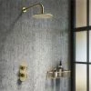 Arezzo Brushed Brass Industrial Style Shower System with Concealed Valve + Head 1 Arezzo Brushed Brass Industrial Style Shower System with Concealed Valve + Head -Showers Shop IS2BBPK n p