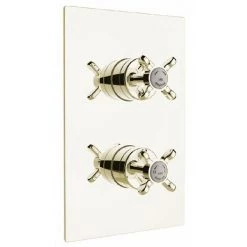 Bristan - 1901 Thermostatic Recessed Dual Control Shower Valve with Integral Diverter - Gold - N2-SHCDIV-G