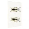 Bristan - 1901 Thermostatic Recessed Dual Control Shower Valve - Gold - N2-SHCVO-G -Showers Shop N2 SHCVO G P