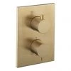 Crosswater - Brushed Brass MPRO Crossbox 1 Outlet Trim & Levers Finishing Kit -Showers Shop PROCB1000LBPF P1