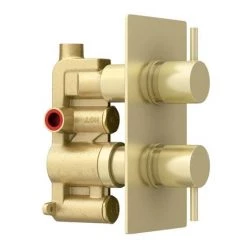 Arezzo Brushed Brass Twin Concealed Shower Valve inc. 300mm Head + 200mm Ceiling Mounted Arm -Showers Shop RD32BBPKCM detail2 460