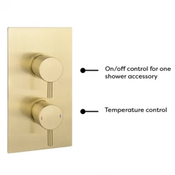 Arezzo Brushed Brass Twin Concealed Shower Valve inc. 300mm Head + Ceiling Mounted Arm 11 Arezzo Brushed Brass Twin Concealed Shower Valve inc. 300mm Head + Ceiling Mounted Arm -Showers Shop RD3BBPKCM detail1 460