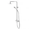 Tavistock Quantum Thermostatic Diverter Bar Valve with Shower Head & Accessory Shelf 2 Tavistock Quantum Thermostatic Diverter Bar Valve with Shower Head & Accessory Shelf -Showers Shop SQT2009 P