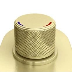 Arezzo Brushed Brass Round Push-Button Shower with 300mm Rainfall Shower Head -Showers Shop VWH6GREWHI d2 460